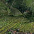 000052 Rizires en terrasses  Batad (Mountain Province, Philippines). Les montagnes entourant le petit village de Batad sont entirement faonnes pour la culture du riz en terrasse. Filtre polarisant.