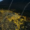 000160 Dpots de soufre sur l''un des quatre cratres sommitaux de l'Etna (Sicile, Italie) : le cratre sud-est aprs l'ruption de 2002. Ce cratre se trouve prs de l'ancien refuge Torre del Filosofo, dtruit lors de cette ruption de 2002. Filtre polarisant.