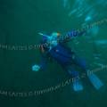 000223 Plonge sous-marine en eau douce dans la carrire du pont des Piles (36270 Eguzon Chantme). Dans cette carrire abandonne la nappe phratique a envahi tout le site d'une eau limpide. 