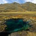 000324 Source d'eau limpide (laguna de Pumapashimi ) sur la route du glacier Pastoruri. Ces plateaux d'altitude appels puna, sont composs de gramines de plusieurs espces dont l'ichu (Stipa ichu) (parc naturel de Huascarn, Ancash, Prou). Filtre polarisant.