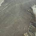 000338 Goglyphes de Nazca, le colibri (Ica, Prou).