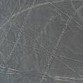 000348 Goglyphes de Nazca, le condor (Ica, Prou).