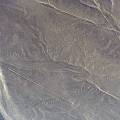 000350 Goglyphes de Nazca, le singe (Ica, Prou).