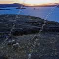 000428 Crpuscule sur le lac Titicaca depuis l'le d'Amantani (Puno, Prou).