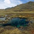 000482 Source d'eau limpide (laguna de Pumapashimi ) sur la route du glacier Pastoruri. Ces plateaux d'altitude appels puna, sont composs de gramines de plusieurs espces dont l'ichu (Stipa ichu) (parc naturel de Huascarn, Ancash, Prou). Filtre polarisant.
