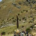000494 Puyas Raimondi (Puya sp) sur la route du glacier Pastoruri (parc naturel de Huascarn, Ancash, Prou). Un groupe de touristes pruviens vient admirer 