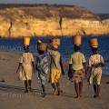 000505 Femmes de pcheur transportant du poisson sur leur tte (plage de Sarodrano, Toliara, Madagascar).