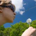 000591 Jeune femme soufflant sur des aknes de pissenlit (Taraxacum officinale) (Allier (03), France). Filtre polarisant.