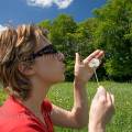 000593 Jeune femme soufflant sur des aknes de pissenlit (Taraxacum officinale) (Allier (03), France). Filtre polarisant.