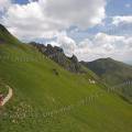 000716 Randonneuse dans le Massif du Sancy (altitude 1 886 m) (Puy-de-Dme (63), France).