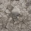 000744 Mud cracks ou fentes de dessication (Drme (26), France). Ces craquelures se forment dans des sdiments fins soumis  dessication.