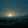 000796 Lever de soleil sur la valle de l'Aumance recouverte de gele blanche (Allier (03), France).