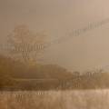 000873 Lac de Xoldokogaina en fin de journe dans le brouillard (Pyrnes Atlantiques (64), France).