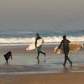 000893 Surfeurs accompagns de leurs chiens (Canis familiaris)  Hossegor (40150) (Landes (40), France). Prise de vue en hiver.