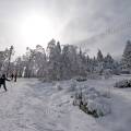 000975 Promenade pour une famille dans une fort enneige (La Loge-des-Gardes (03250), Allier (03), France). 