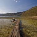 001066 Ponton de bois sur le lac du Val (Jura (39), France). Un pcheur et son chien s'apprtent  partir pour une partie de pche en barque.