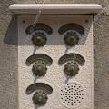 001082 Boutons de sonnette et interphone d'un immeuble de Venise (Vntie, Italie).