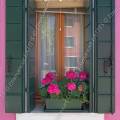 001096 Granium vivace rose (Geranium sp) pos sur un rebord de fentre d'une maison de pcheur sur l'le de Burano situe dans la lagune de Venise (Vntie, Italie). On dit que les femmes de Burano choisissent une couleur vive pour leurs maisons afin que leurs maris, pcheurs, puissent reprer leurs maisons, par mauvais temps ou aprs une soire trop arrose !
