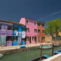 001102 Maisons de pcheurs sur l'le de Burano situe dans la lagune de Venise (Vntie, Italie). On dit que les femmes de Burano choisissent une couleur vive pour leurs maisons afin que leurs maris, pcheurs, puissent reprer leurs maisons, par mauvais temps ou aprs une soire trop arrose !