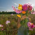 001267 Jeune femme se cachant derrire un bouquet de fleurs champtre (Puy-de-Dme (63), France). Image ralise dans une jachre fleurie cre  l'initiative des fdrations de chasseurs et des agriculteurs locaux. Ce type de jachre en plus d'amliorer les paysages, favorise la biodiversit et offre un refuge et des sources de nourriture  une faune varie : abeilles, araignes, papillons, et mme petits mammifres et oiseaux.