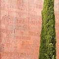 001280 Mur recouvert de signatures anciennes traces  l'aide de sang de boeuf par les tudiants de Salamanque pour proclamer leur tout nouveau statut de docteur (Castille-et-Len, Espagne).