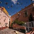 001334 Quartier populaire de la ville de Guanajuato envahi par les pigeons (Guanajuato, Mexique). 