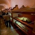 001350 Visiteurs devant les vitrines des momies du 