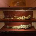 001353 Vitrines des momies du 