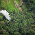001447 Parapentiste s'apprtant  atterrir au dessus d'une fort de sapins dans le massif du Sancy (Puy-de-Dme (63), France).