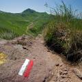 001574 Marquage  la peinture pour indiquer un chemin de randonne (Puy-de-Dme (63), France). En arrire plan : le Puy de Sancy, ancien volcan situ dans le massif volcanique des Monts Dore. C'est le plus haut sommet du Massif Central avec ses 1 886 m d'altitude. Ce volcan de type strato-volcan a cess toute activit il y a 220 000 ans.