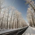 001696 Route traversant une fort de chnes (Quercus sp) recouverte de neige (Allier (03), France).