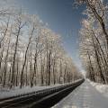 001698 Route traversant une fort de chnes (Quercus sp) recouverte de neige (Allier (03), France).